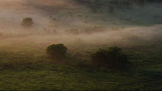 Aerial View of Misty Rolling Hills at Dawn