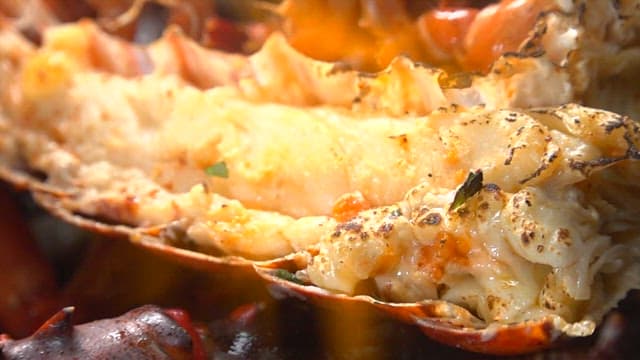 Lobster grilled over a fire