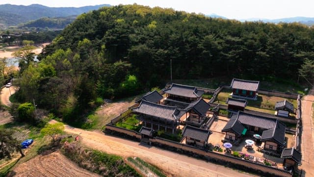 Traditional Korean house surrounded by forest