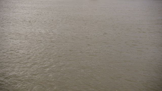 Cityscape with Historic Buildings Viewed from across the River