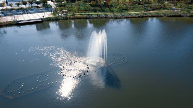 Fountain in a serene urban park lake