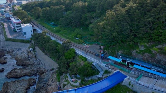 Coastal train passing through a coastal lookout and lush forests