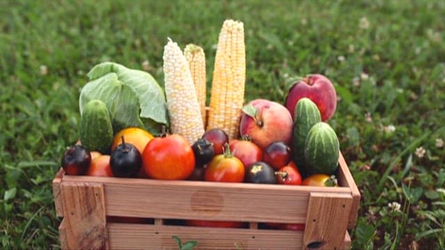 Fresh Produce in a Wooden Crate Outdoors