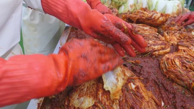 Making kimchi by adding chili pepper seasoning to cabbage