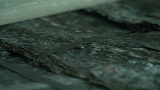 Bundle of well-dried kelp