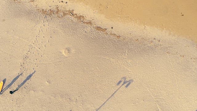 Quiet Beach with Gentle Waves