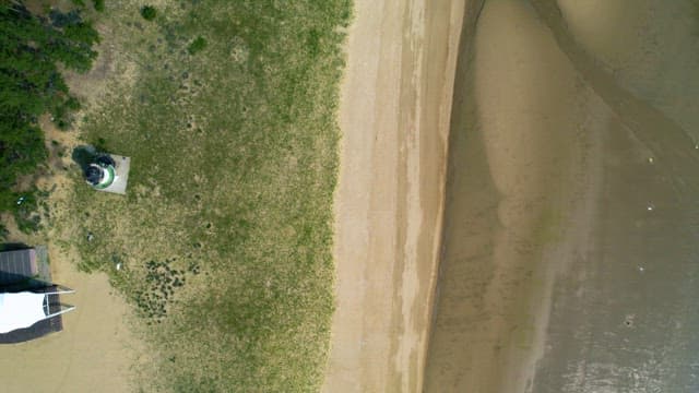 Contrast of Green Forest and White Sand Beach