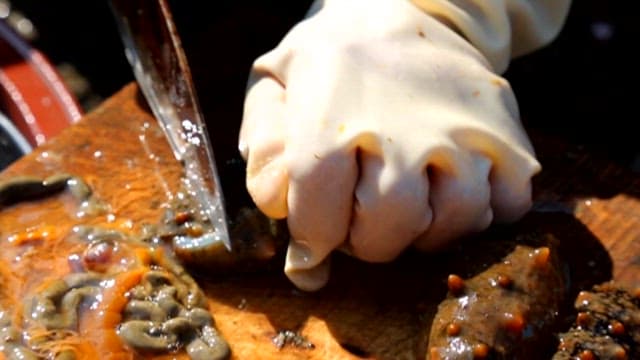 Cut sea cucumbers on a plate