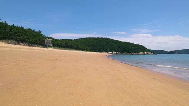 Serene Beachside with Lush Greenery and Clear Skies