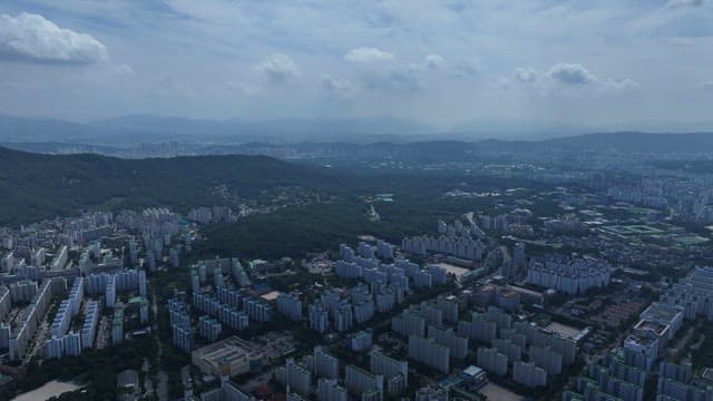 Cityscape with Green Space and Dense Buildings Coexisting