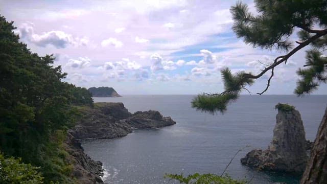 Serene Coastal Cliffs with Lush Foliage