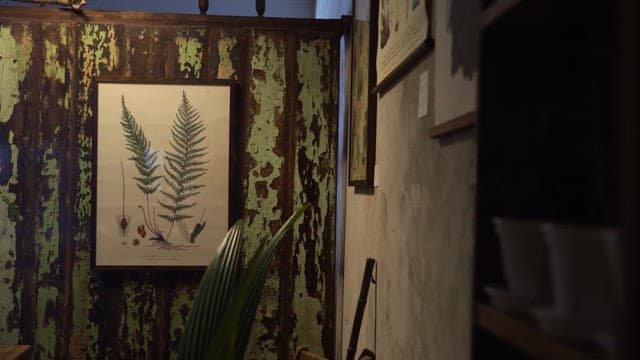 Cozy indoor scene with fern paintings and plants