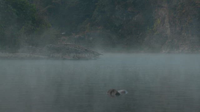 Misty morning at a serene riverside surrounded by cliffs and forest.