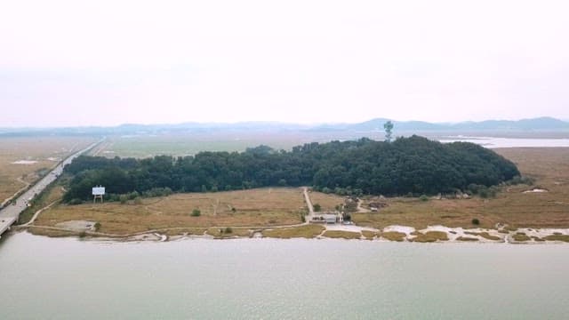 Aerial view of a coastal area with a dense forest and road