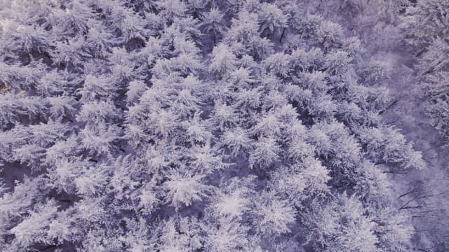 Mountains Covered White with Snow at Dawn