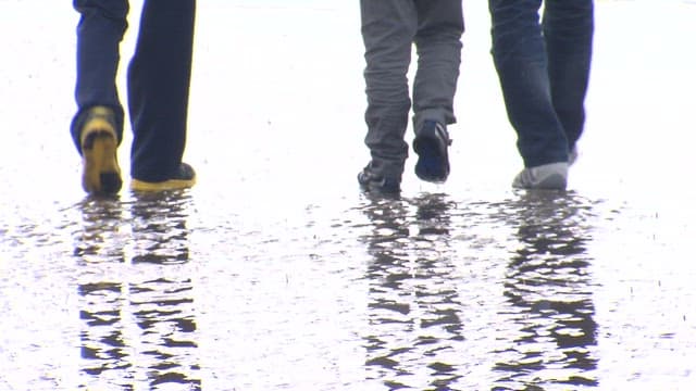 Family walking together on a beach with mudflats on a sunny day