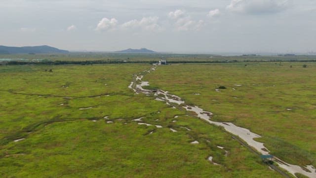 Wooden boardwalk runs along a wide, green wetland landscape