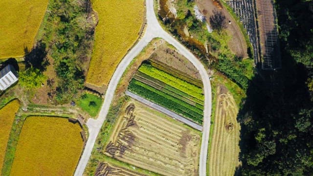 Colorful fields and winding roads
