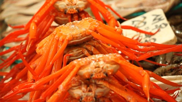 Fresh seafood displayed in market boxes
