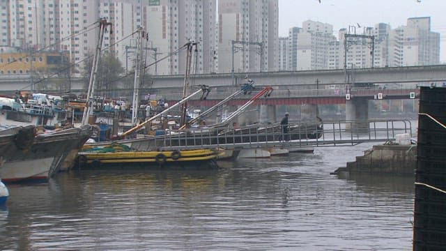 Fishing boats docked by an urban bridge