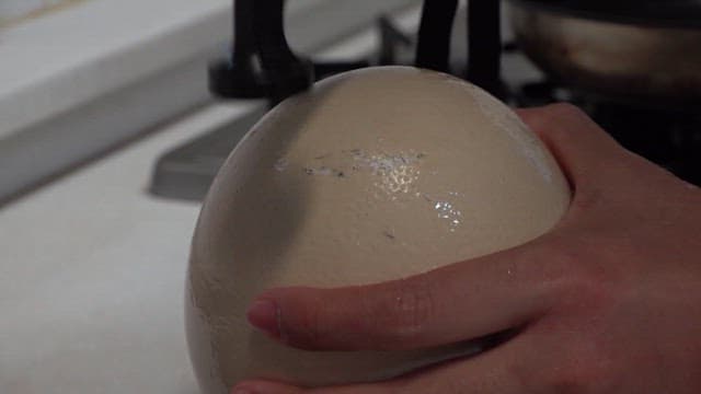Cracking a large ostrich egg with a hammer on the kitchen sink