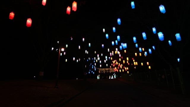Colorful Lanterns Hanging in the Air at Night