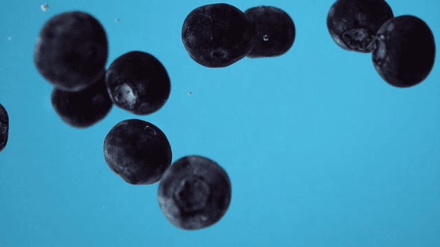 Blueberries moving in water on a blue background