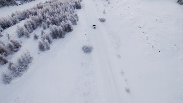 Car driving through a snowy forest