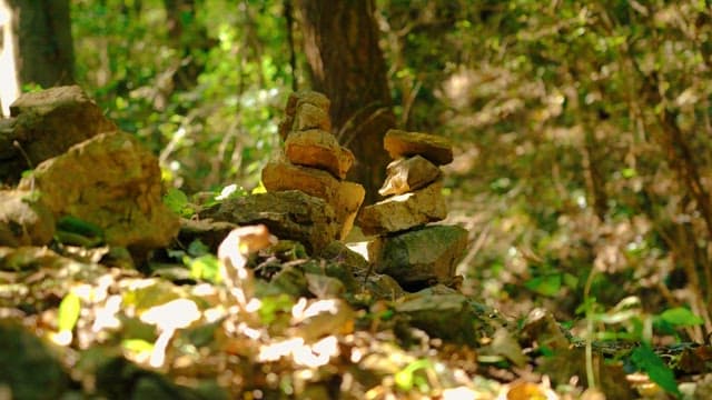 Serene forest scene with stacked rocks and green foliage