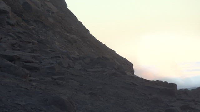 Animal Falling Off a Cliff