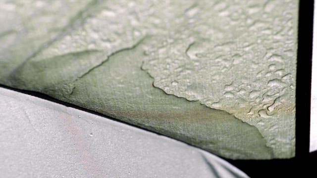 Raindrops on a tent in a forest