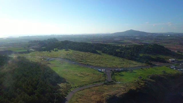 Lush green fields with scattered trees and a winding road under clear blue ski