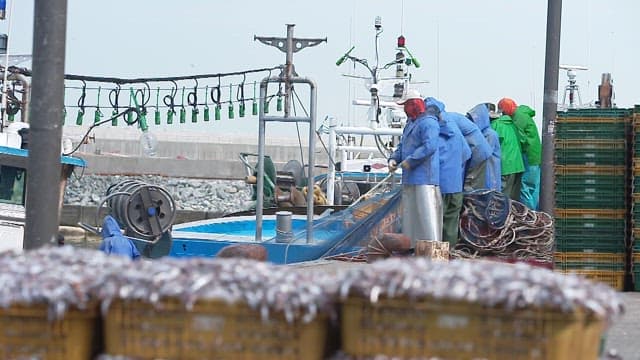 Fishermen organizing their nets and fish in the harbor in the morning