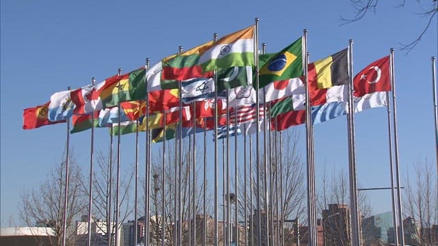 Various Fluttering National Flags