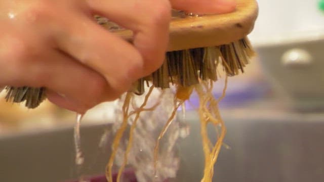 Cleaning ginseng under running water