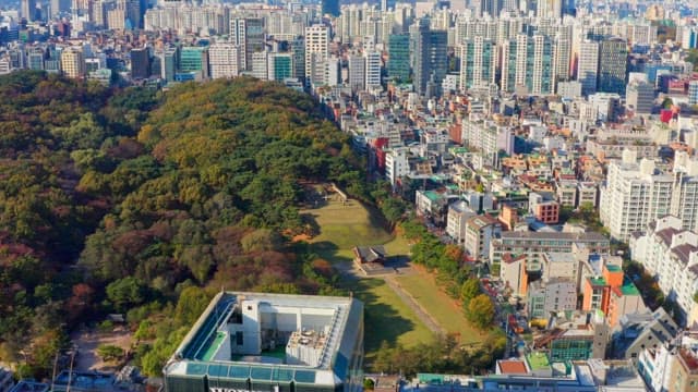 Cityscape with a park and forest