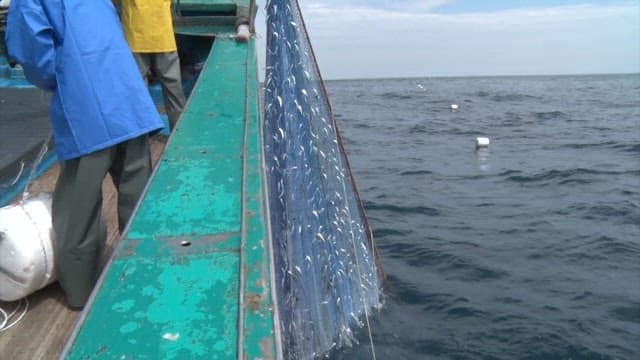 Fishing Boat Hauling in a Net Full of Fish