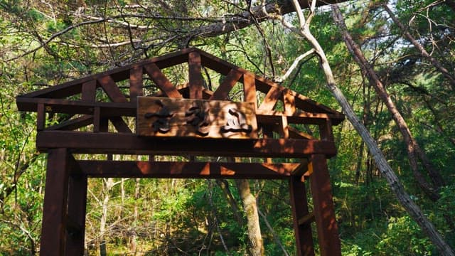 The gate of a bridge in a lush forest