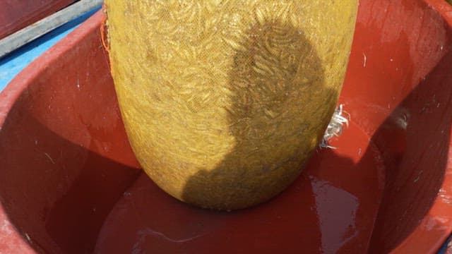 Fresh anchovies caught in nets during the day are filled into rubber tubs