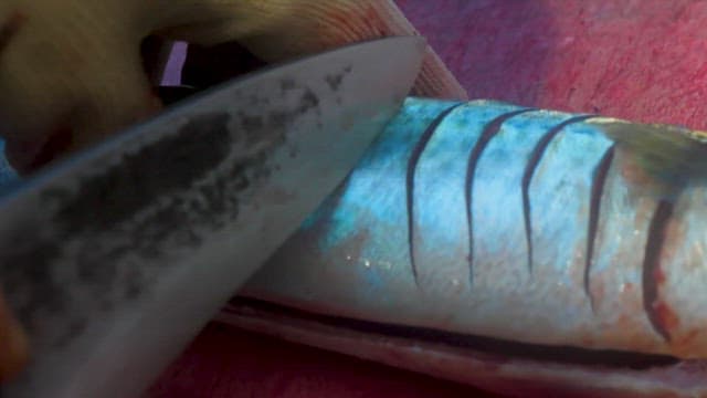 Freshly Caught Fish Grilled in Oil