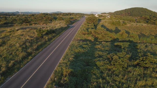 Rural road surrounded by lush greenery