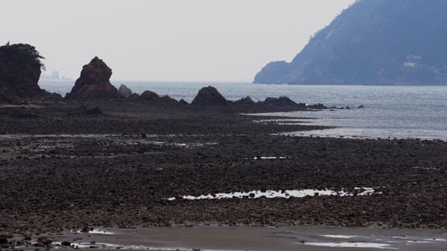 Misty coastal landscape with rocky shore at low tide