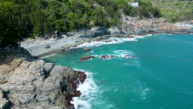 Scenery of a Rocky Coast Bordering a Lush Forest