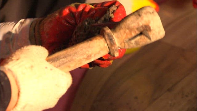 The process of collecting oysters