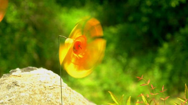 Vibrant pinwheel rotating in a lush green grass forest