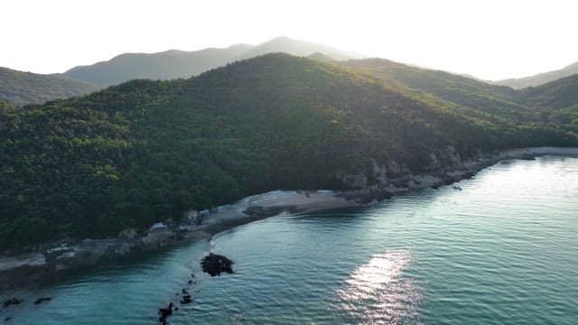 Aerial view of a serene beach with lush green forest