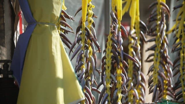 Saury hung outside with yellow strings to dry