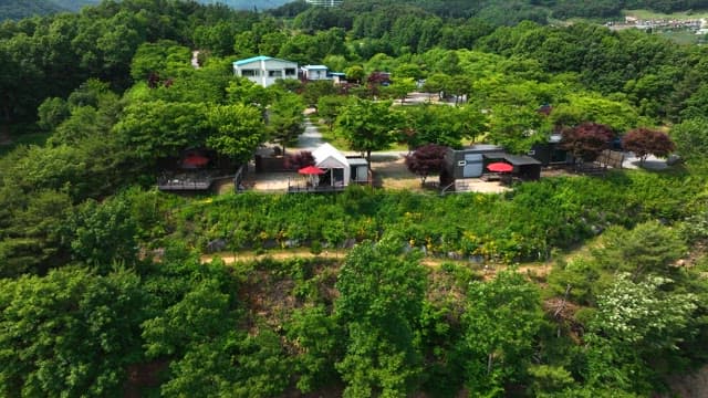 Natural Camping Site Far from the City Center