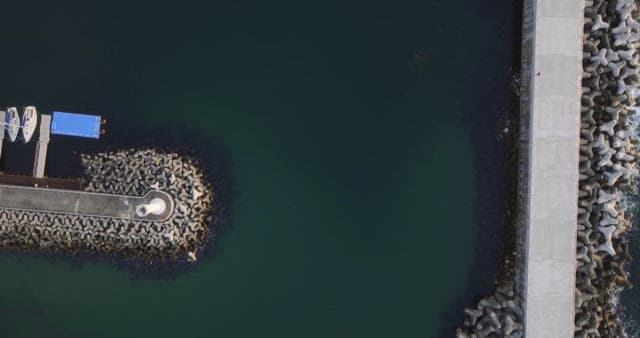 View of a marina with boats and breakwater