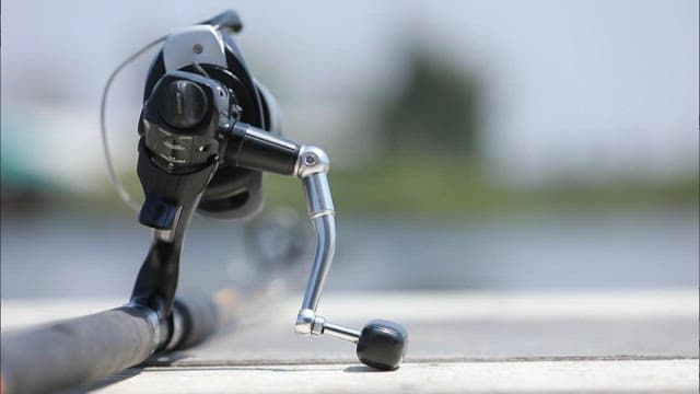 Fishing rod resting by a calm lake
